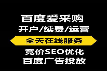 实战派心得：百度竞价代理案例解读与优化技巧